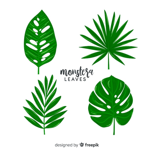 Packa de mão desenhada monstera deixa