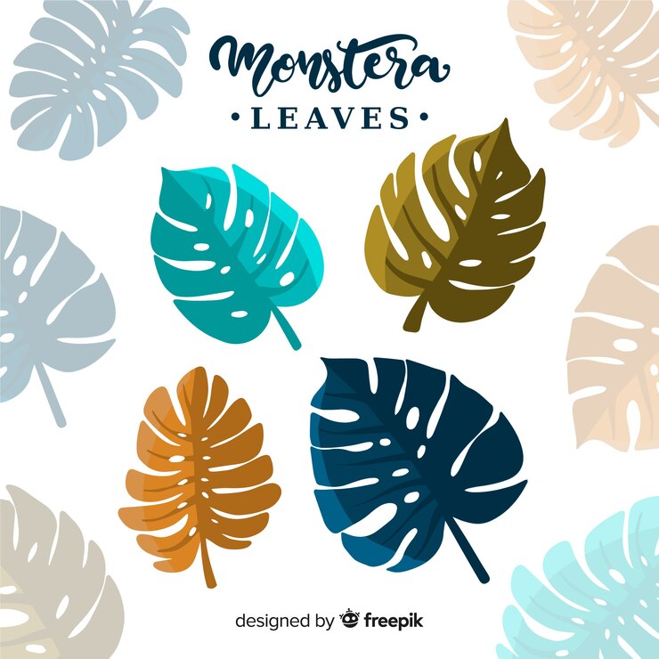 Vetor grátis packa de mão desenhada monstera deixa