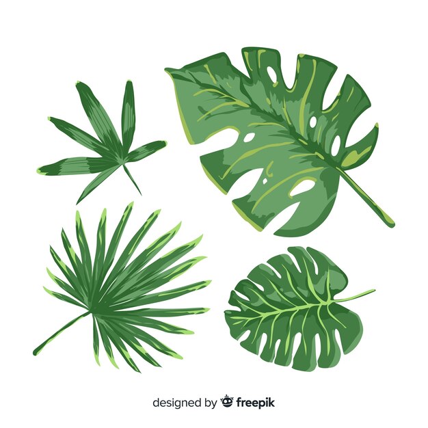 Packa de mão desenhada monstera deixa