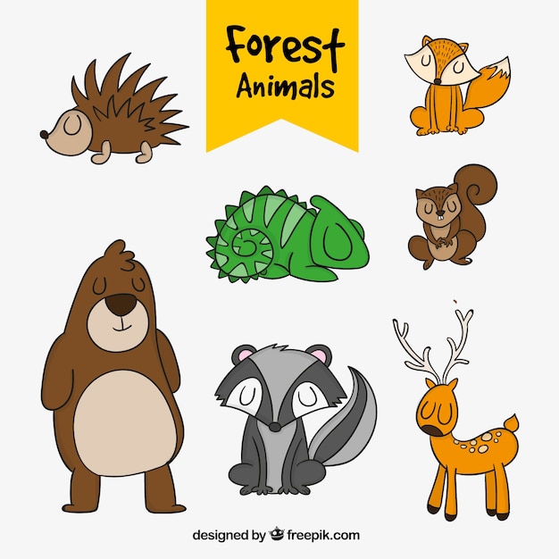Vetor grátis pacote de animais da floresta desenhados à mão