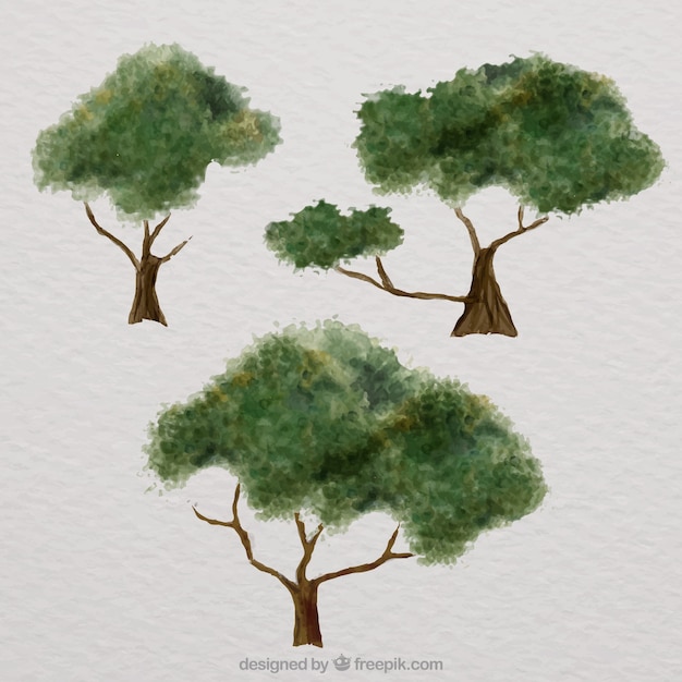 Vetor grátis pacote de árvores em estilo aquarela