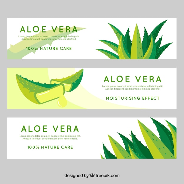 Pacote de banners de aloe vera