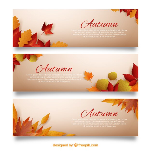 Pacote de banners de outono com folhas secas