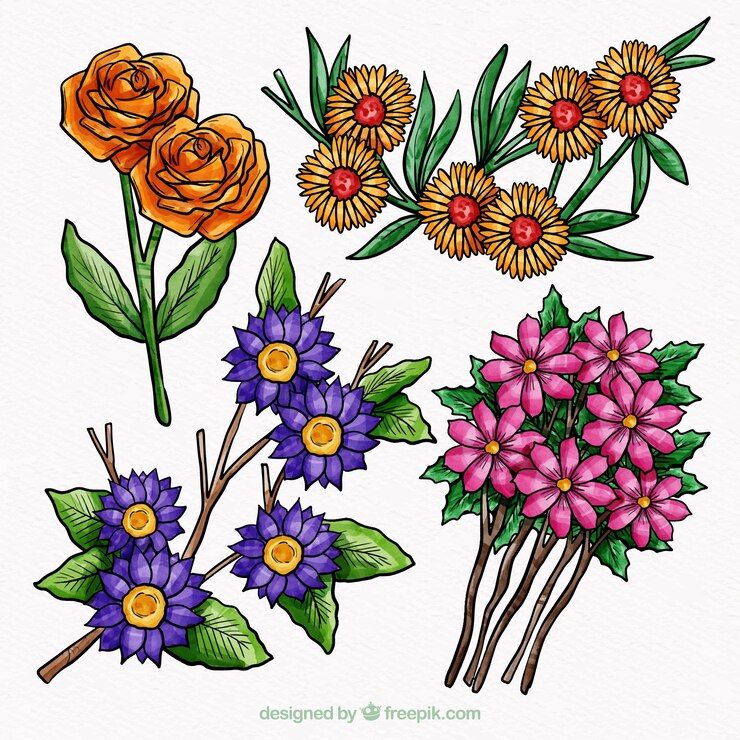 Vetor grátis pacote de belas flores de aguarela