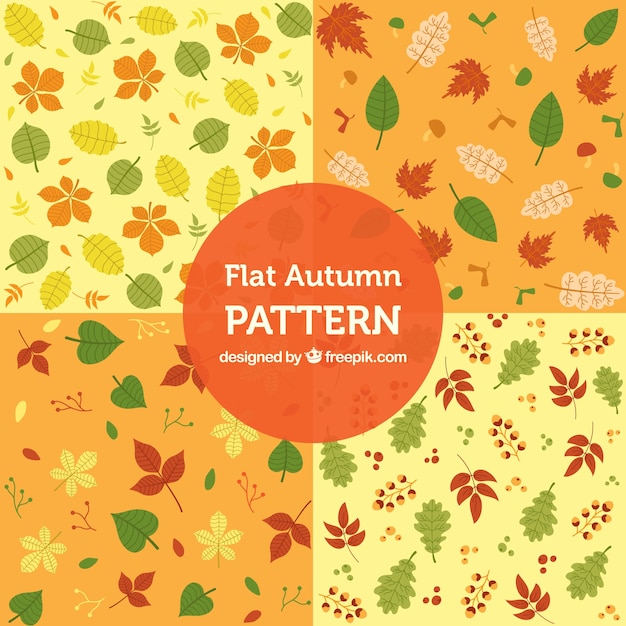 Pacote de belos padrões de outono