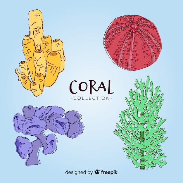 Pacote de coral desenhado a mão