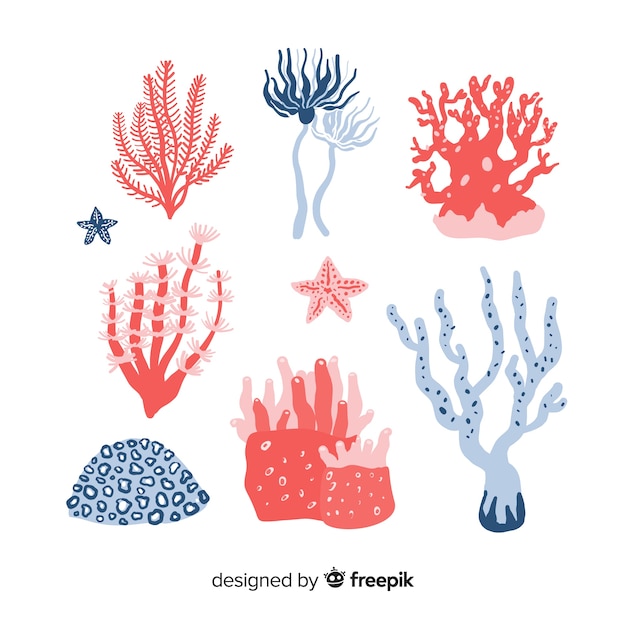 Pacote de coral desenhado a mão