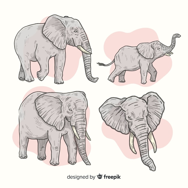 Vetor grátis pacote de elefantes desenhados à mão