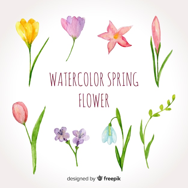 Pacote de flores de primavera aquarela
