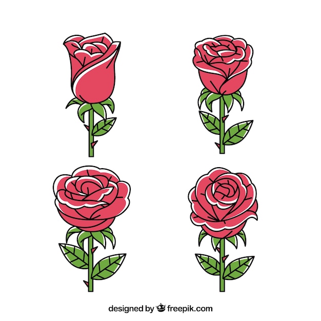 Vetor grátis pacote de quatro rosas bonitos