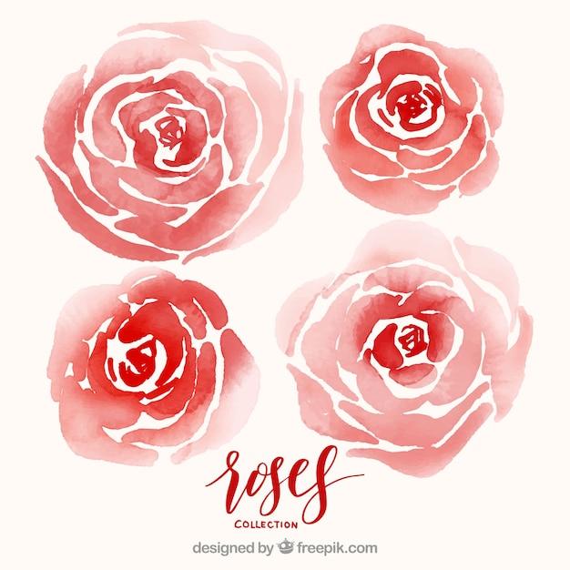 Pacote de rosas vermelhas aquarela