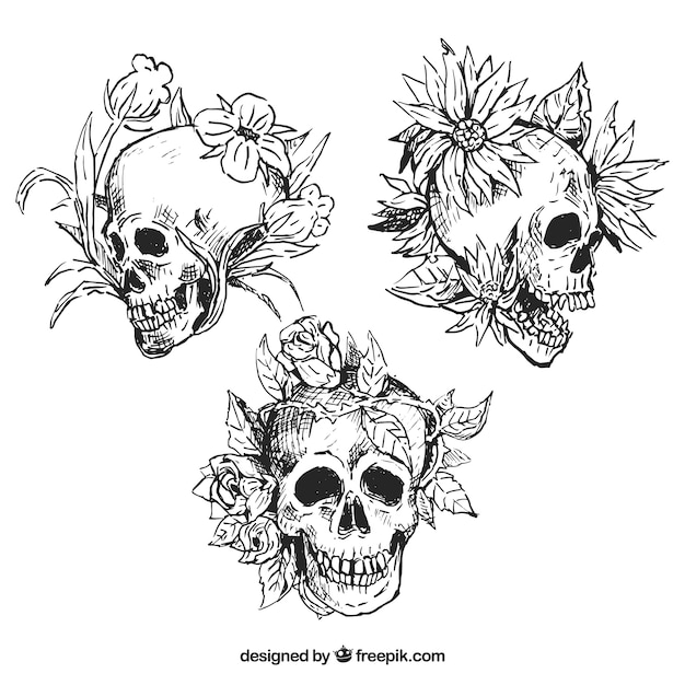 Pacote desenhado mão de três crânios florais
