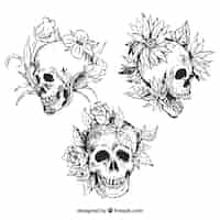 Vetor grátis pacote desenhado mão de três crânios florais