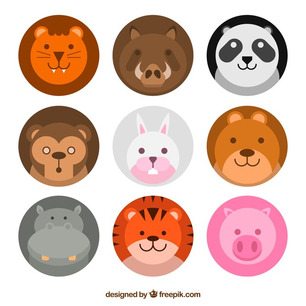 Pacote divertido de caras de animais adoráveis