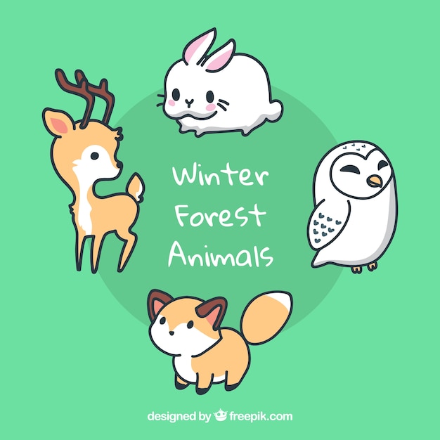 Pacote plano para animais de inverno