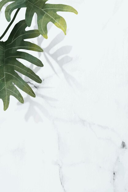 Padrão de folha de Philodendron radiatum em vetor de fundo de mármore branco