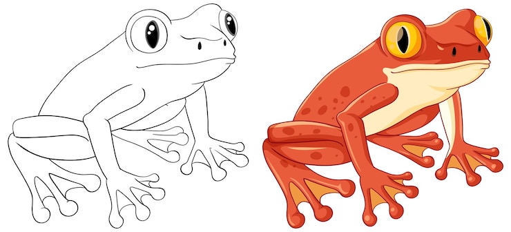 Vetor grátis página para colorir desenho de desenho de sapo vermelho