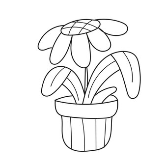 Página para colorir simples ilustração em vetor bonito margarida flor planta desenhada à mão