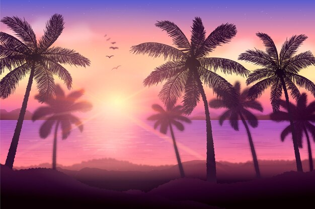 Palm silhuetas fundo conceito