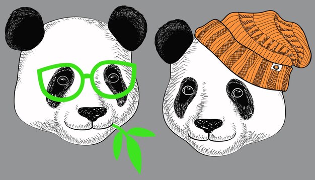 Panda em chapéus de malha e óculos