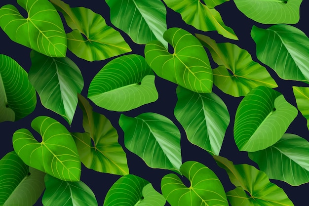 Papel de parede de folhas tropicais para zoom