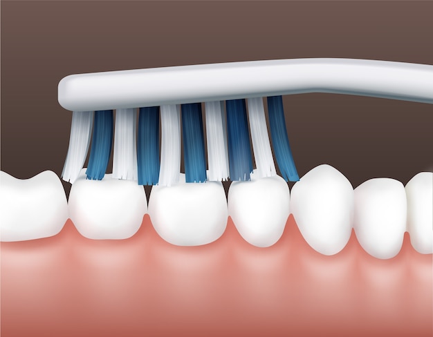 Parte vetorial da cavidade humana com dentes limpos e brancos e vista lateral de escova de dentes listrada Vetor Premium