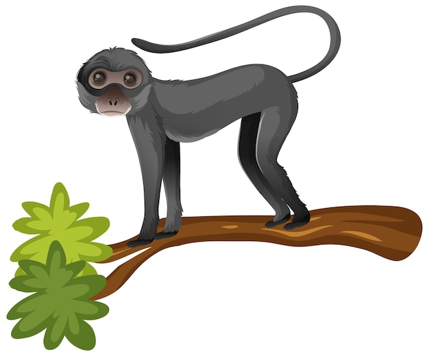 Desenho De Desenhos Macacos PNG , Desenho De Macaco, Desenho De