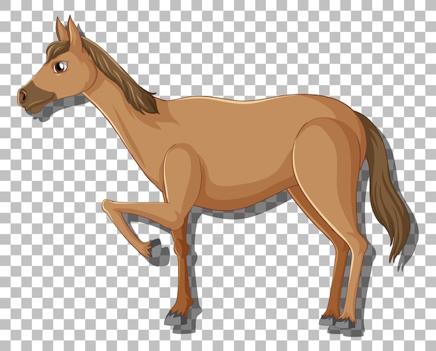 Ilustrações De Cavalos De Salto PNG , Clipart De Cavalo, Clip Art, Cavalo  Clip Art Imagem PNG e PSD Para Download Gratuito