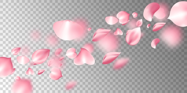 Pétalas de Sakura voando em fundo transparente