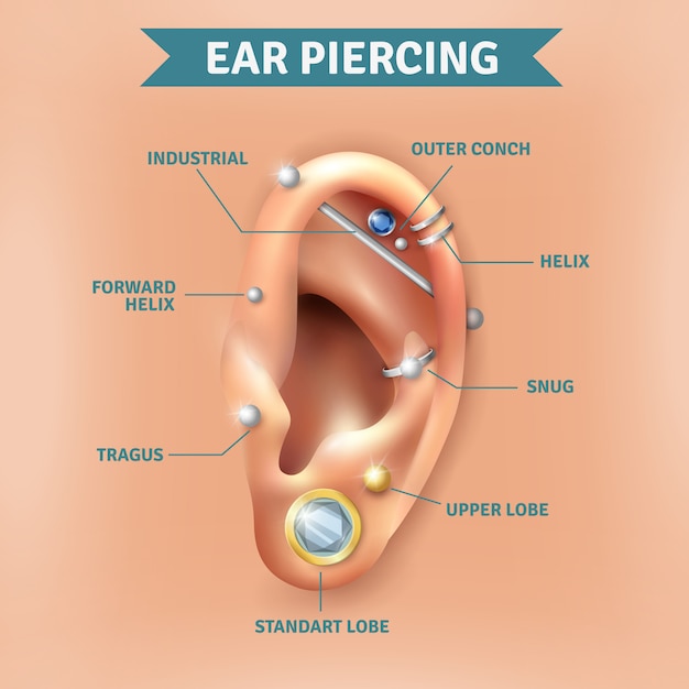 Vetor grátis piercing de ouvido tipos posições fundo poster