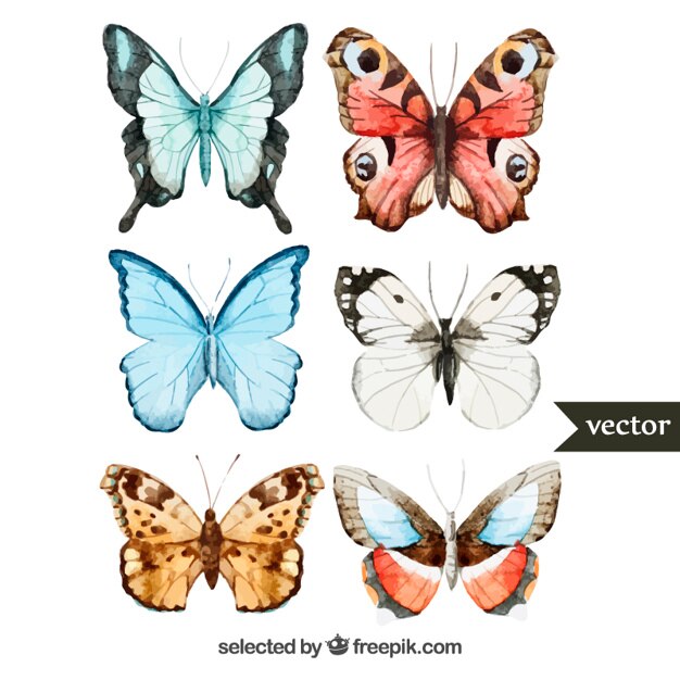 Vetor grátis pintados à mão borboletas