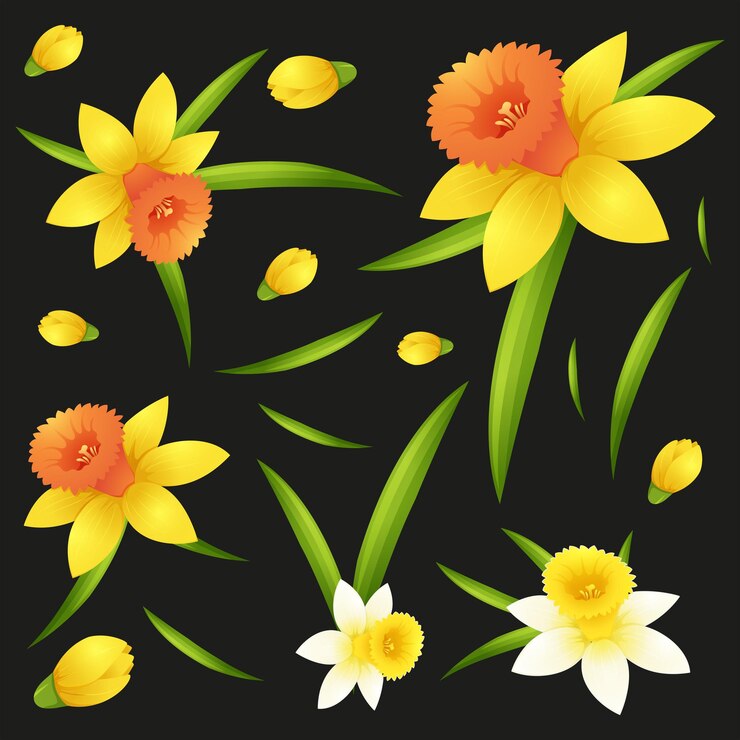 Vetor grátis plano de fundo transparente com flores de narciso