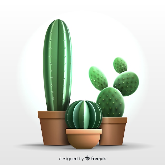 1.288.220 imagens, fotos stock, objetos 3D e vetores de Cactus