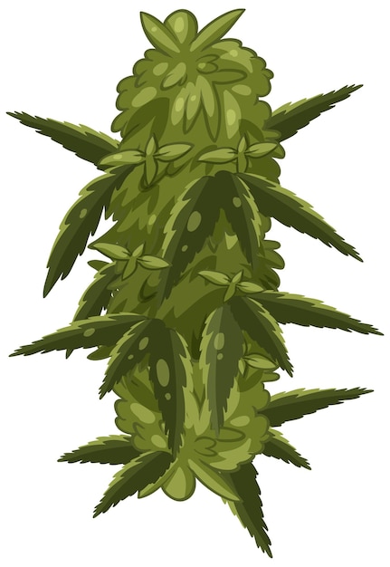 Vetor grátis planta de cannabis no fundo branco