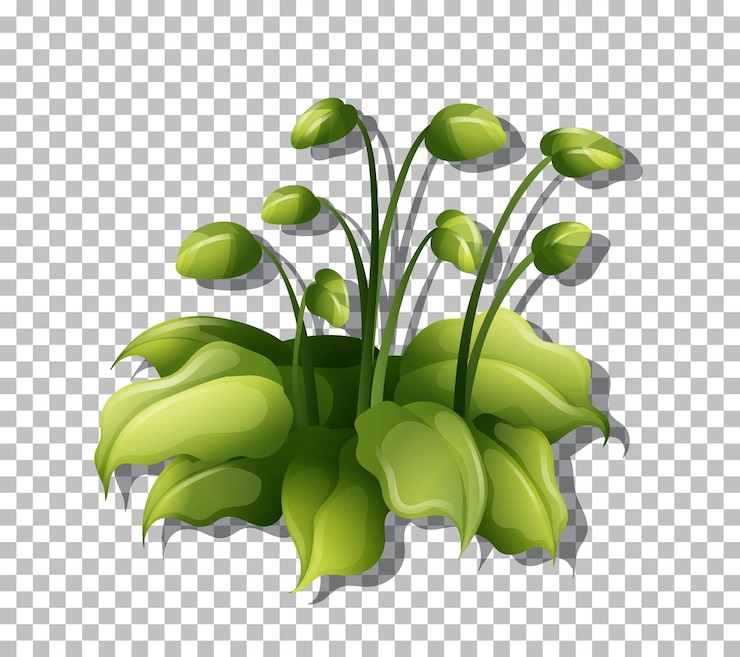 Vetor grátis planta tropical em fundo transparente