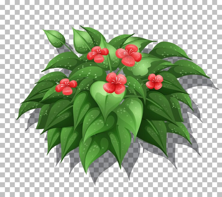 Vetor grátis planta tropical em fundo transparente