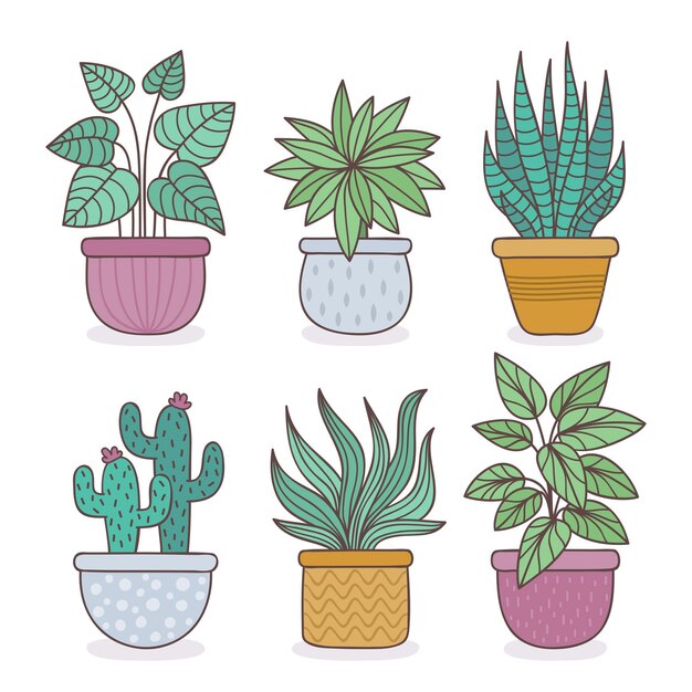 Plantas de casa desenhadas à mão na coleção de vasos