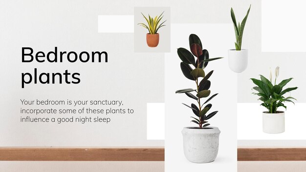 Plantas de quarto de vetor de modelo de decoração de interiores