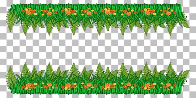 Plantas naturais emolduram fundo transparente