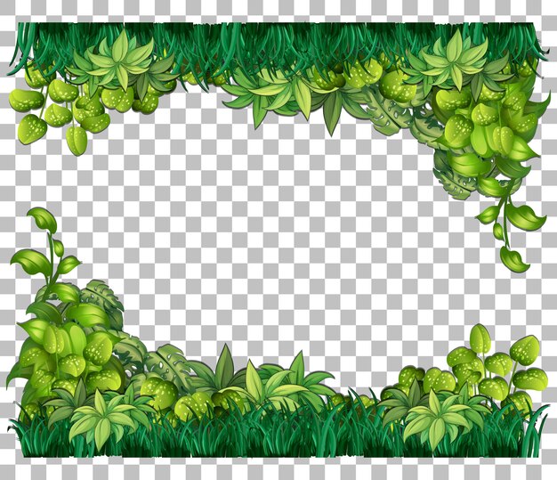 Plantas naturais emolduram fundo transparente