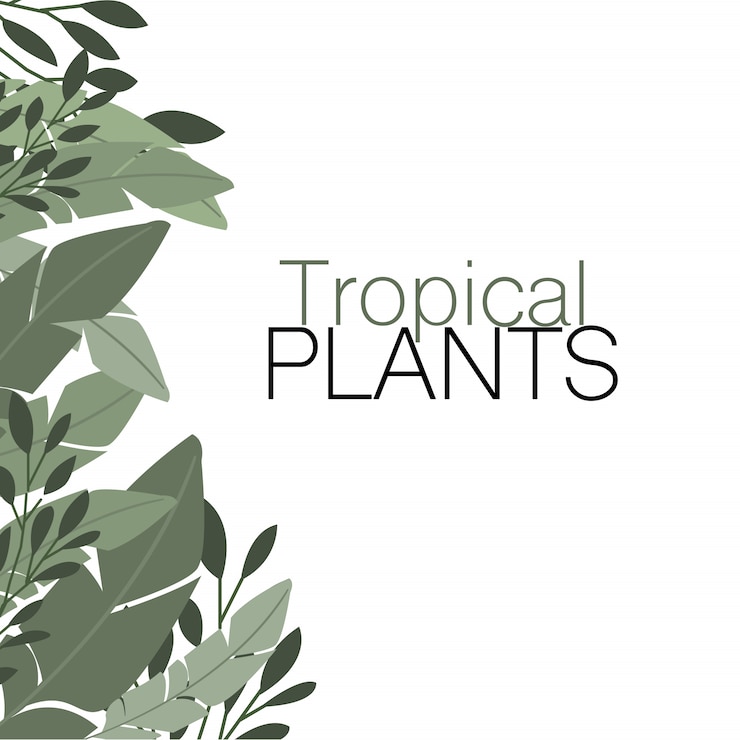 Vetor grátis plantas tropicais
