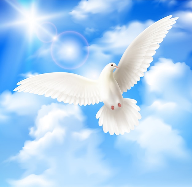 Pombo branco com céu azul e nuvens