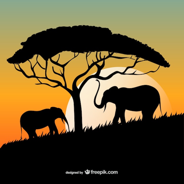 Por do sol africano com elefantes e silhuetas de árvores