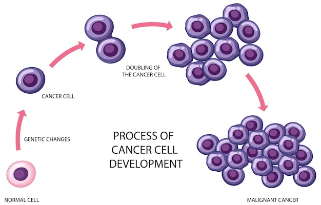 Vetor grátis processo de desenvolvimento de células cancerosas