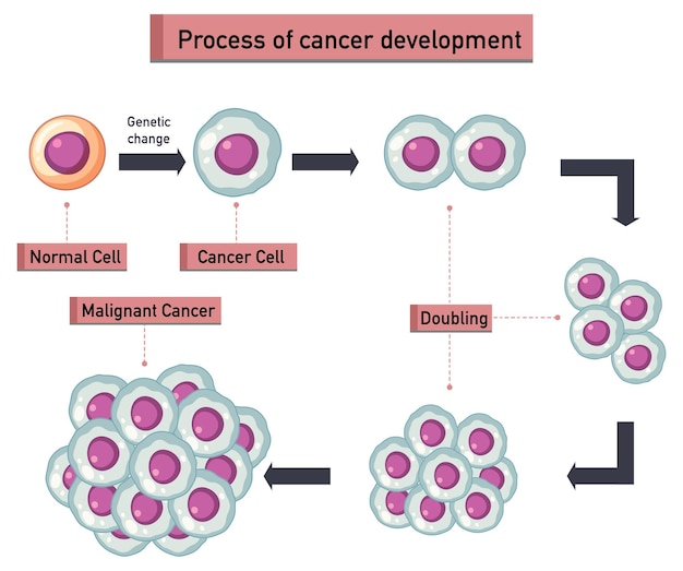 Processo de infográfico de desenvolvimento de câncer