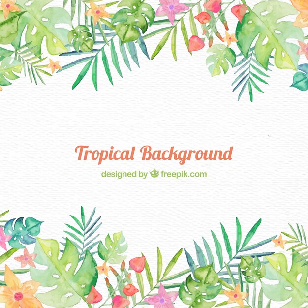 Projeto de fundo tropical