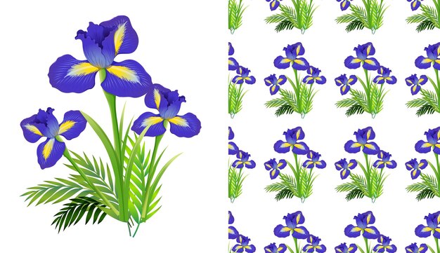 Projeto de plano de fundo transparente com flores de íris e samambaias