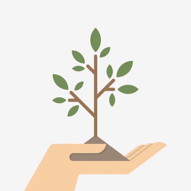 Vetor grátis projeto pequeno da planta