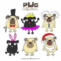 Vetor grátis pugs adoráveis ​​com trajes engraçados