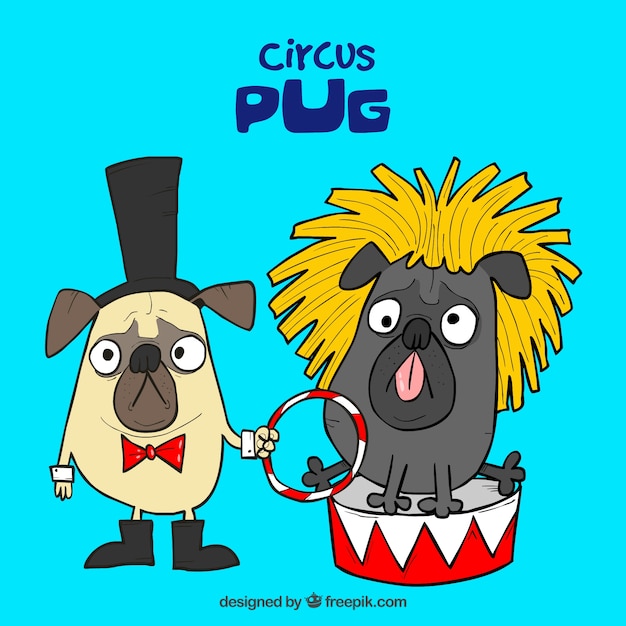 Vetor grátis pugs divertidos com fantasias de circo